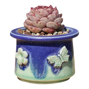 新品帽檐冰裂蝴蝶印章手工捏花雪花釉蓝色桌面包邮群生盆控型粗陶