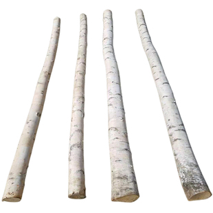 白桦树干树枝天然白桦木枯木杆美陈景观橱窗隔断婚庆拱门原木树桩