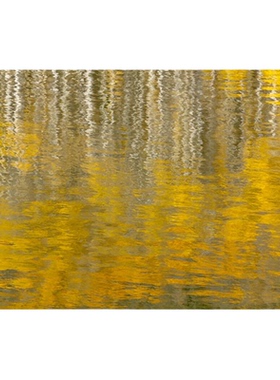 YELLOW KORNER法国原装进口 山湖秋映限量艺术画别墅客厅收藏挂画