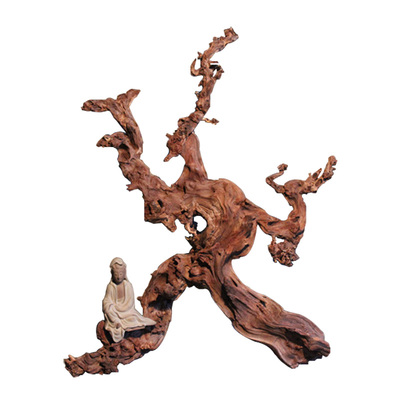 羊蹄甲金丝红木中国根雕摆件