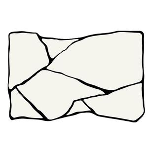 极简地毯客厅黑白高级感沙发毯法式奶油风不规则卧室地垫免洗可擦