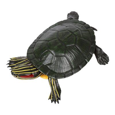 儿童玩具仿真海洋动物模型乌龟巴西龟海底生物海龟模型科教认知摆