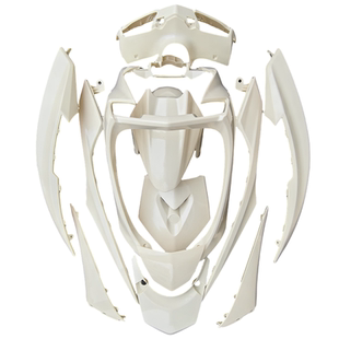 林海劲战F1三阳CNSY四代目原厂外壳烤漆件前围前泥板头罩边条灯具