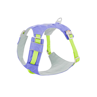 zooland狗狗胸背牵引绳轻薄透气中小型犬牵引绳拉夫平替小狗胸背