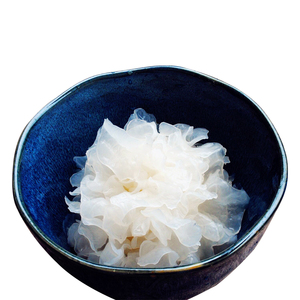 正宗四川通江椴木银耳干货200克 天然无硫中大朵白木耳糯耳雪耳孕