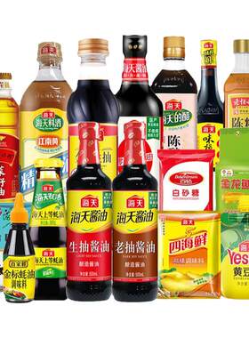 海天调味料酱油套装组合