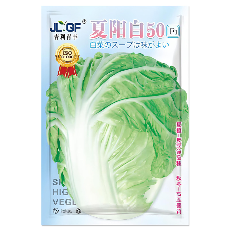 夏阳白50白菜种子蔬菜种子