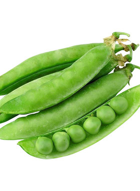 蔬菜种子甜豌豆种子甜脆豌豆