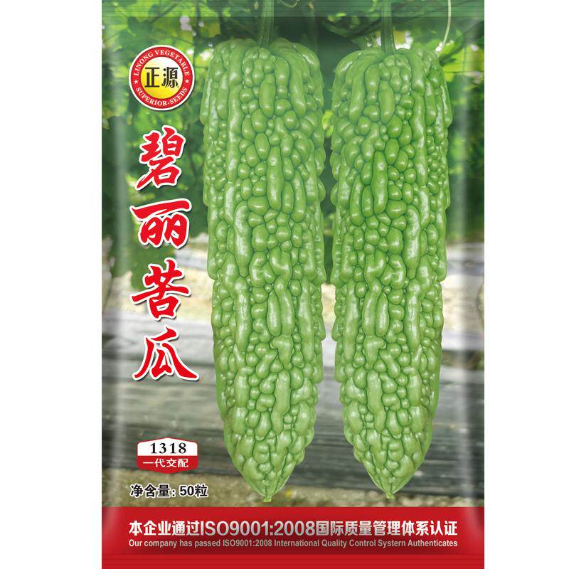 疙瘩庭院四季苦瓜种子