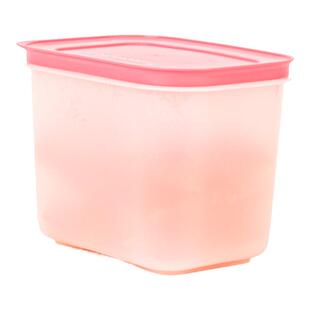 特百惠 1.1L雪影密封水果保鲜盒 方形零食盒 冰箱冷藏冷冻收纳盒