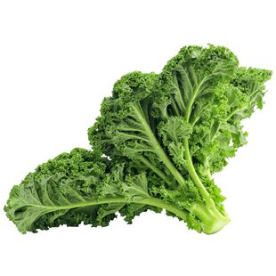 羽衣甘蓝种籽冬宝蔬菜种子荷兰羽衣甘兰抗病耐寒高端羽衣甘蓝种子