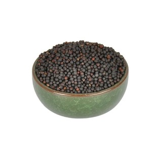 红地肤种子绿地肤草籽扫帚笤帚适合冬天种的花籽阳台庭院植物花卉