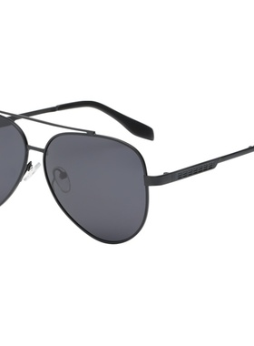 墨镜男士复古个性风偏光眼镜