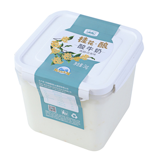 相山桂花酿酸牛奶1kg/桶桂花口味酸奶生牛乳益生菌发酵桶装酸奶