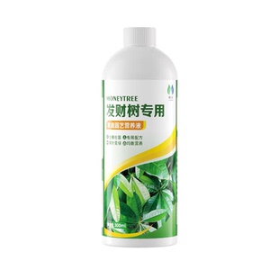 发财树专用营养液叶子发黄掉叶水培植物肥料家用花卉改善僵苗盆栽