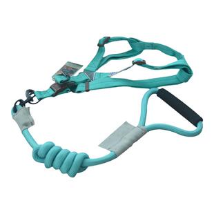 库存处理！Touchdog它它宠物狗狗牵引绳金毛胸背带狗绳狗链牵引