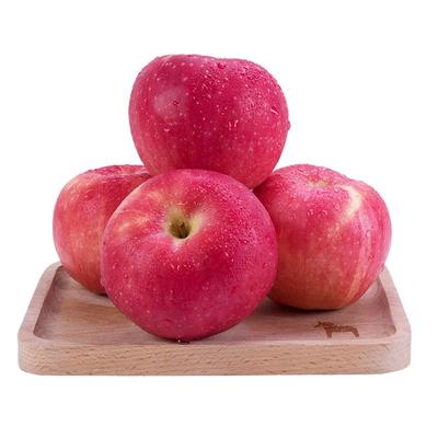 食园志甘肃会宁冰糖心丑苹果