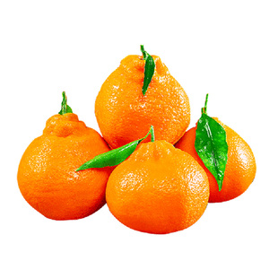 四川春见耙耙柑新鲜水果当季正宗整箱10斤丑柑橘子桔子粑粑柑包邮