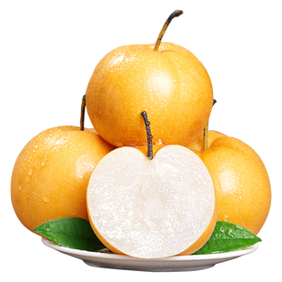 正宗山东秋月梨新鲜梨子10斤当季现摘莱阳冰糖梨雪梨蜜梨水果包邮