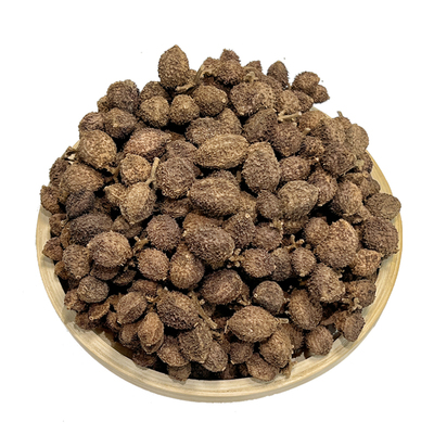 正宗阳春特产春砂仁干果特级精选传统火焙黄苗仔养胃煲汤中药材