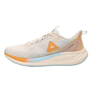 匹克男鞋态极跑步鞋轻便网面透气秋冬季新款青少年学生休闲运动鞋