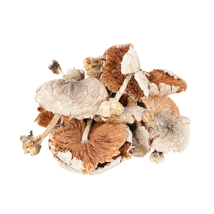 新鲜稻草菇餐饮酒店商用香菇煲汤黎川杆菇农家草菇土特产干货批发