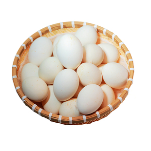 顺丰包邮宿迁正宗散养鹅蛋现捡现发新鲜鹅蛋6枚12枚孕妇宝宝食材