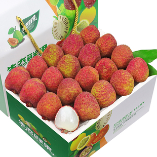 顺丰5斤桂花香荔枝新鲜现摘现发海南水果荔枝当季整箱妃子包邮大