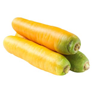 水果胡萝卜种子秋四季黄胡萝卜种籽新疆手抓饭配菜胡罗卜蔬菜种孑