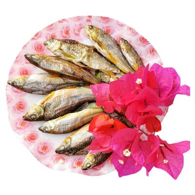 炕干干货农家去肚无盐石斑鱼干淡水鱼小鱼干光唇鱼火焙鱼干特产