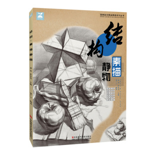 结构素描静物 零基础组合中考美术石膏几何体图册课件中国美院入门画国美画册本照片高考联考图片单体临摹范本教程书教学教材书籍