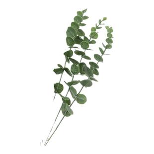 ins北欧风仿真尤加利金钱叶花束 绿植插花摆件客厅家居装饰塑料