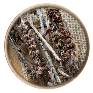 中药材 瓦松 50g 可打粉 满包邮