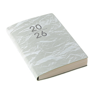 2026年日程本新款加厚A5高颜值一日一页周计划工作日程本笔记本简约办公记事本工作计划本学习可定制印logo