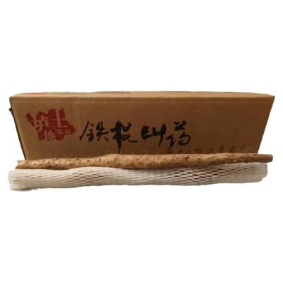 温县特产垆土铁棍山药新鲜现挖