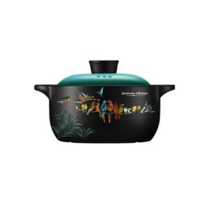 彩冠砂锅官方旗舰店正品耐热陶瓷砂锅煲汤锅焖炖锅家用砂锅煲沙锅