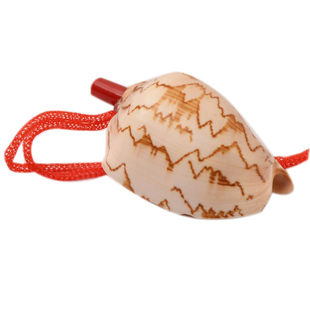 海螺贝壳哨子自然山水图线条棕花色大号螺号发声幼教认知儿童玩具