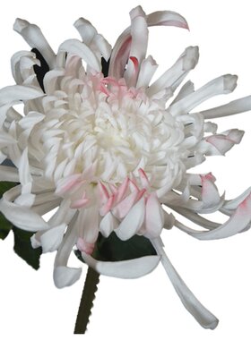 仿真菊花束凤尾pu手感