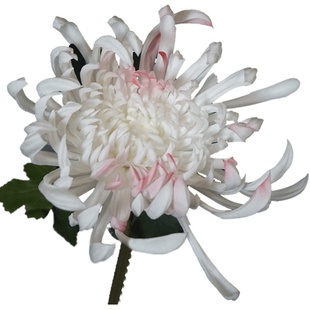 仿真菊花束凤尾菊秋菊仿真花假花PU手感花高级绢花带香味富贵菊