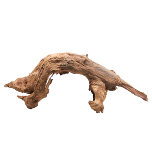 沉木乌龟晒台拱桥躲避屋鱼缸造景装饰木头树根一木成景树桩枝条