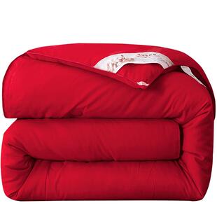 新款大红色结婚陪嫁冬被婚庆喜被双人被子四季通用夏凉被单人加厚