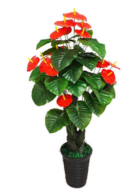 假树吉祥红掌鸿运仿真植物