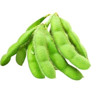 特早王45天毛豆种子早熟矮杆菜用大豆黄豆菜种子农村批发蔬菜种子