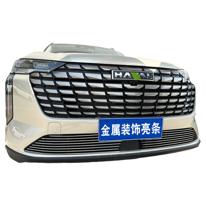 哈弗H6中网专用改装防虫网装饰件