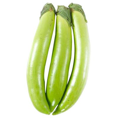 早熟高产耐热抗病茄子种子