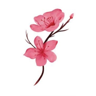 樱花纹身贴防水女持久性感锁骨粉色花朵遮盖疤痕高级感小图案贴纸