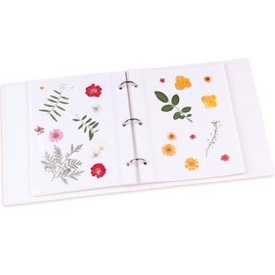 植物标本收集册 树叶干花压花叶子标本册活页多功能儿童学生覆膜diy粘贴式收藏册创意手工制作落叶自粘收纳本