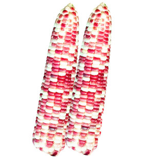 超甜水果玉米种籽甜玉米种子大全子粘黏香彩糯黑四季甜糯白孑黑糯