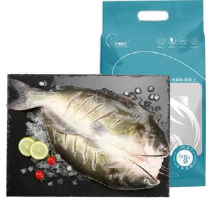 钓鱼记广东叉尾鮰鱼清江鱼二去净重冷冻烤鱼红烧烤500g-650g*3条