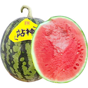 站神4K甘美西瓜日本引种 超脆甜多汁无籽皮薄结实 踩不烂 1颗包邮